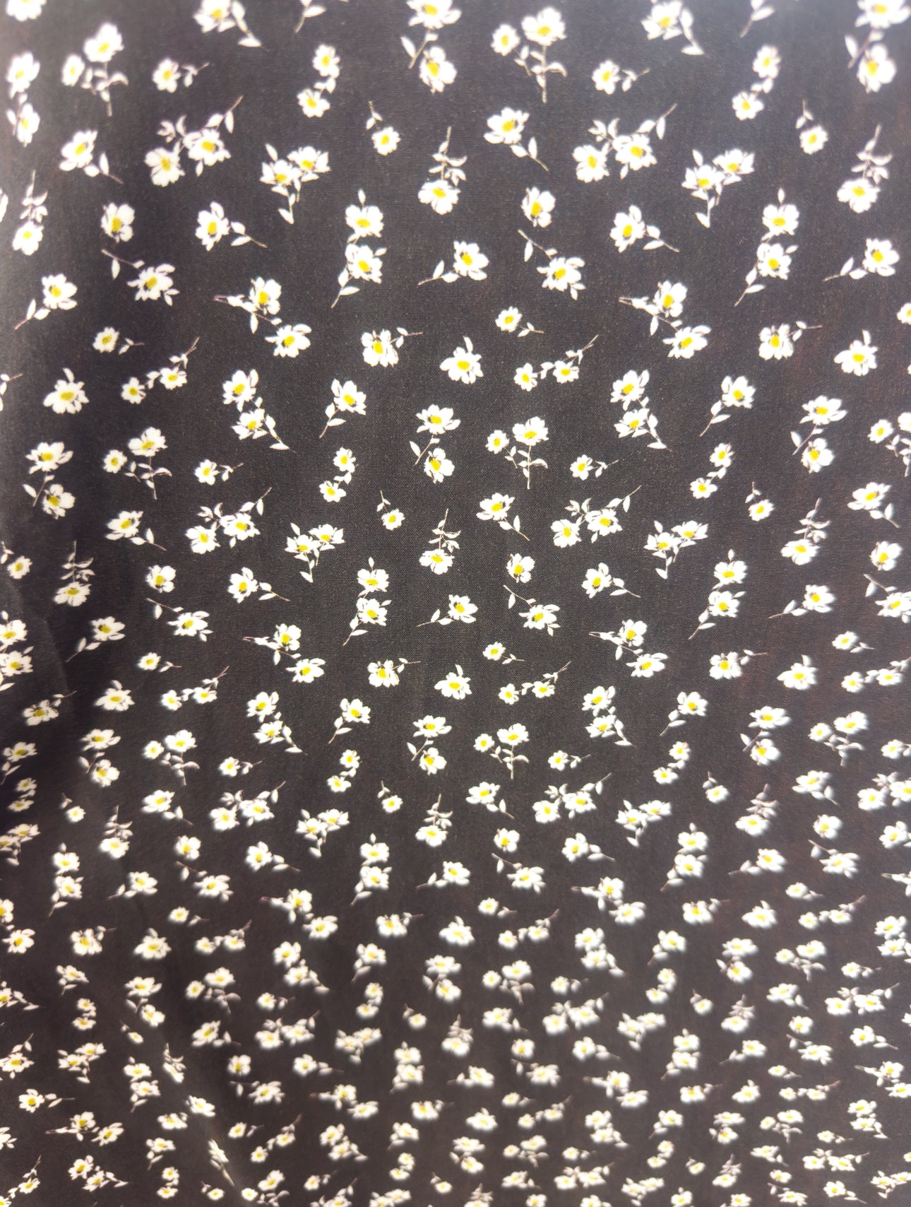 Top Microfiori
